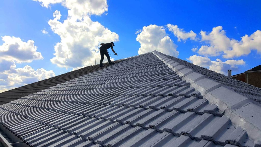 Professional Roofing